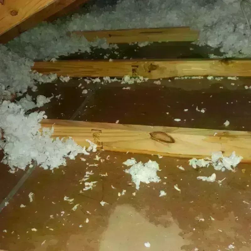 Attic Water Damage in Morehead, KY